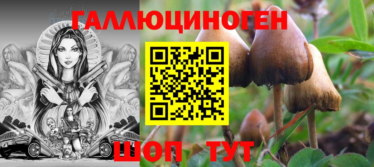 Галлюциногенные грибы Psilocybe  где купить наркоту  Сосновоборск  Вход с VPN  Псилоцибиновые грибы прущие грибы 